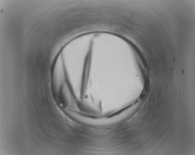 X0000076251508200610261927