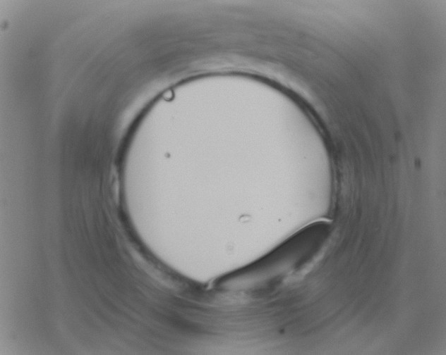 X0000076251509200610261927