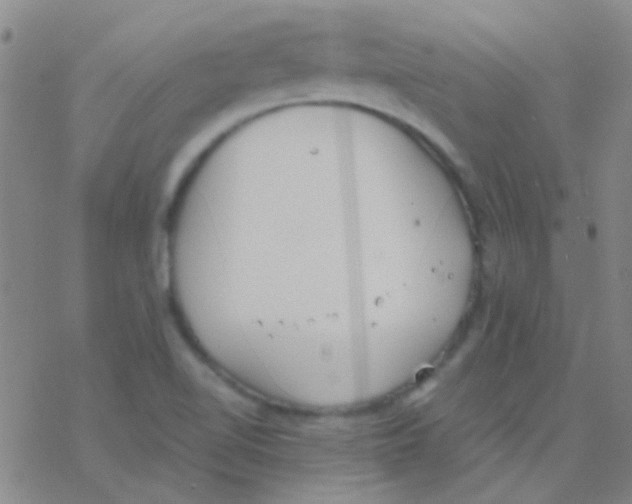 X0000076251510200610261927