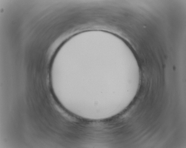 X0000076251511200610261927