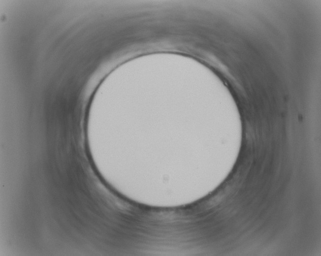 X0000076251512200610261927