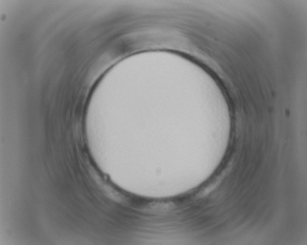 X0000076251513200610261927