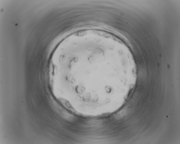 X0000076251514200610261927