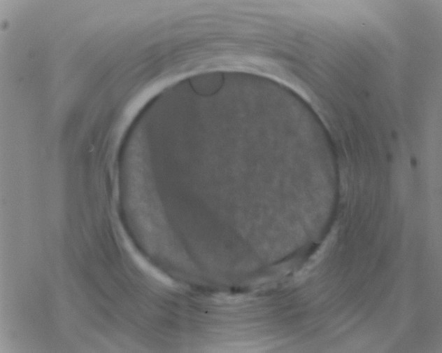 X0000076251515200610261927