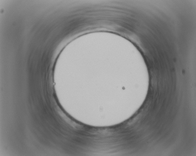 X0000076251516200610261927