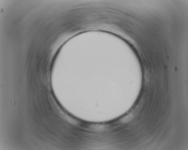 X0000076251517200610261927