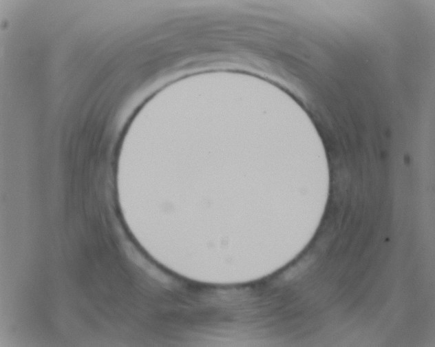 X0000076251518200610261927