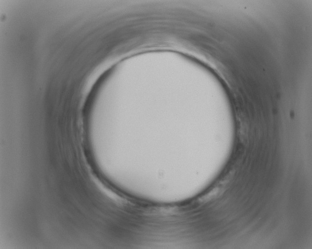 X0000076251519200610261927