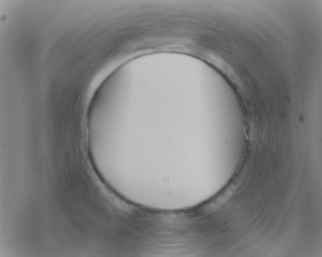 X0000076251520200610261927