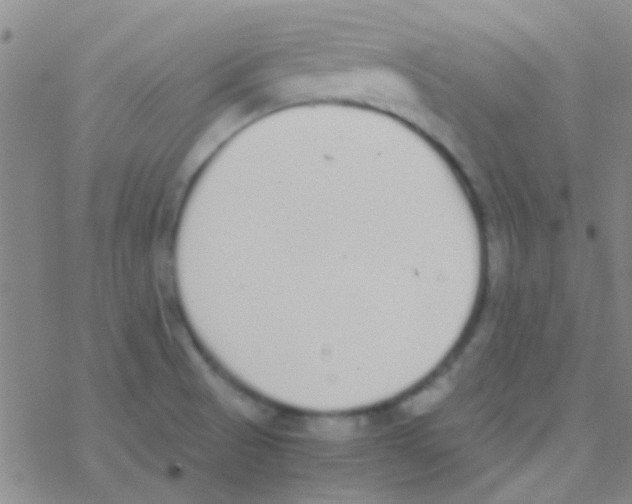 X0000076251521200610261927