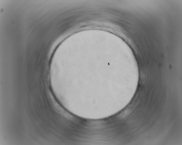 X0000076251522200610261927