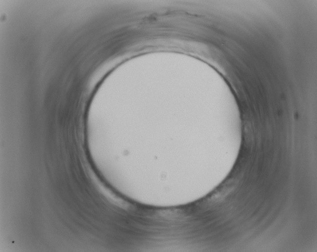 X0000076251523200610261927