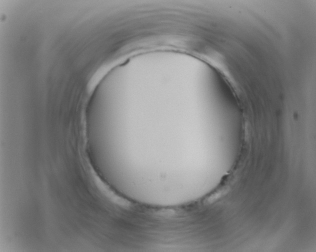 X0000076251524200610261927