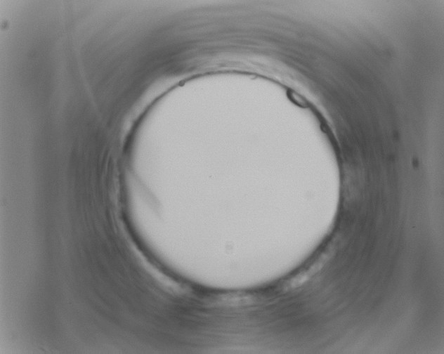 X0000076251525200610261927