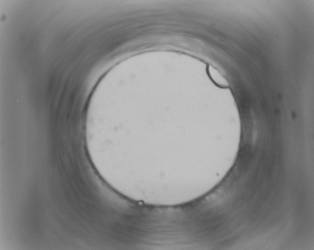 X0000076251526200610261927