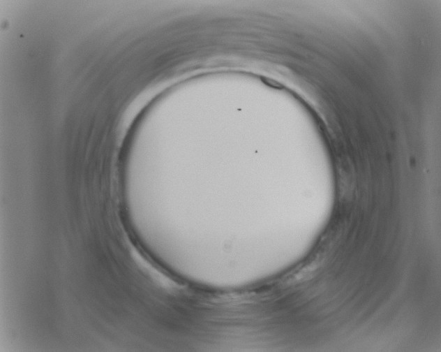 X0000076251527200610261927