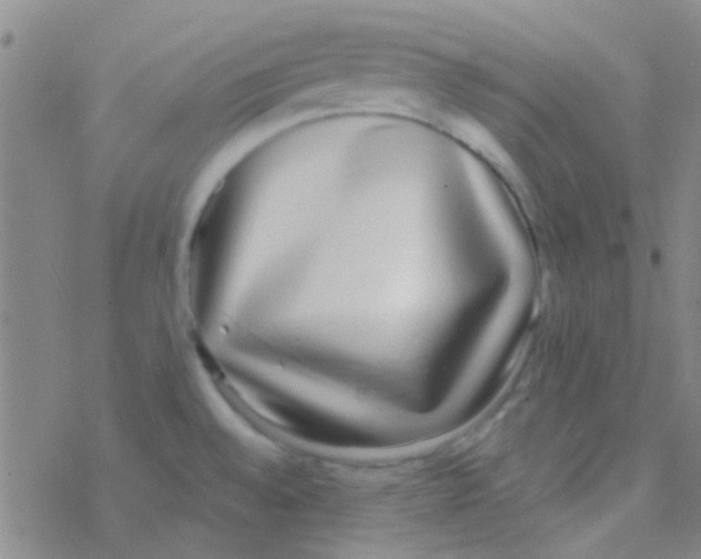 X0000076251528200610261927