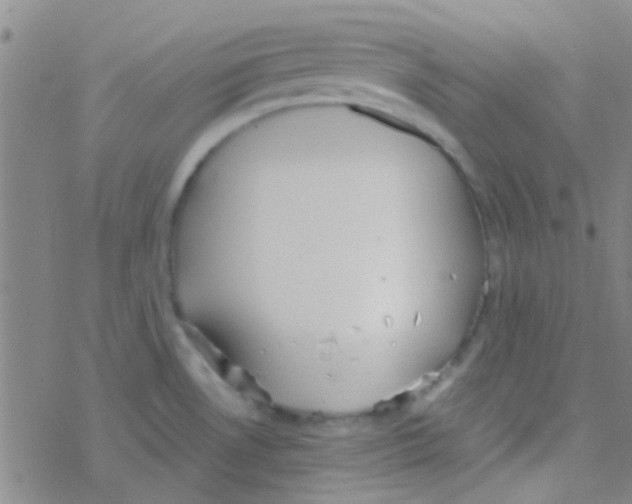 X0000076251530200610261928