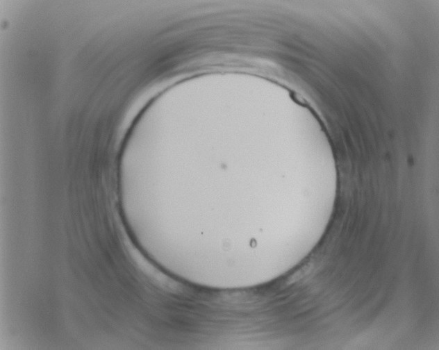 X0000076251531200610261928