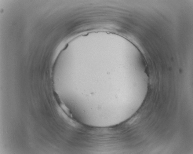 X0000076251532200610261928