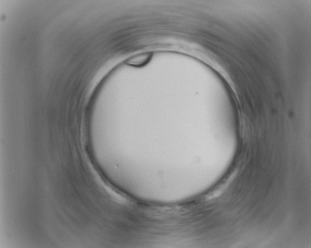 X0000076251533200610261928