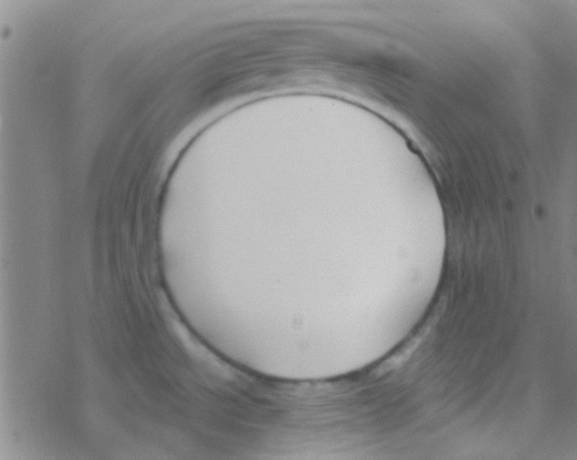 X0000076251534200610261928