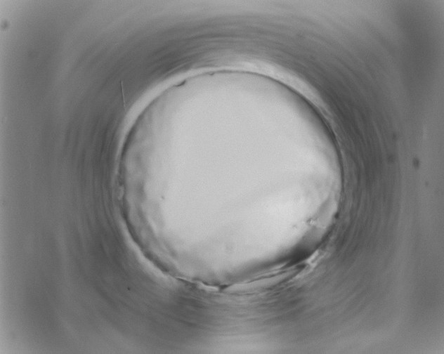 X0000076251536200610261928