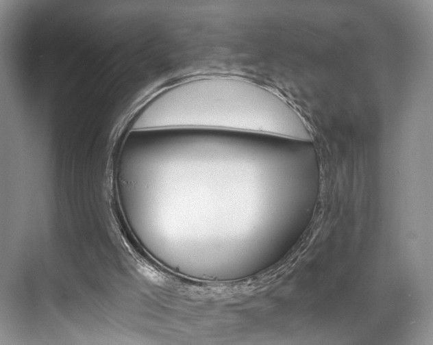 X0000076260005200609281032