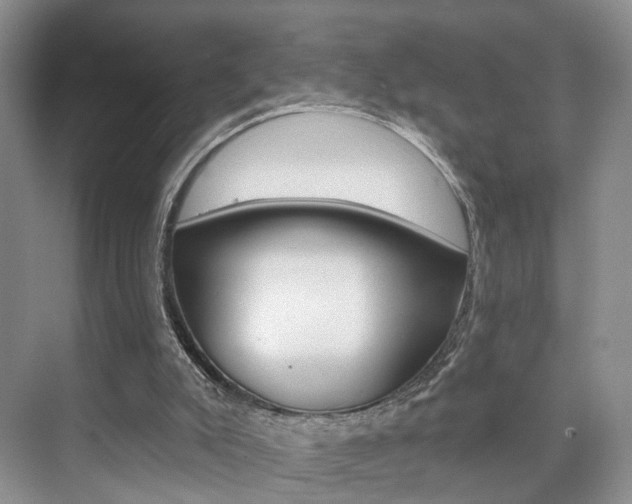X0000076260007200609281032