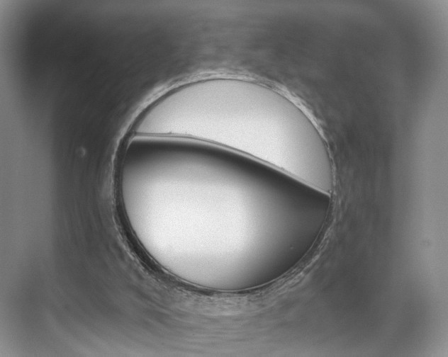 X0000076260008200609281032