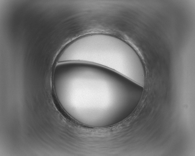 X0000076260011200609281032