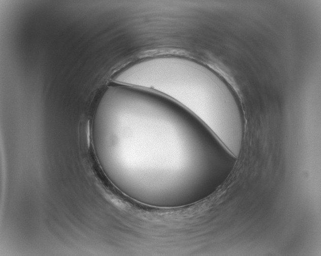 X0000076260013200609281031