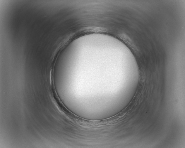 X0000076260014200609281031