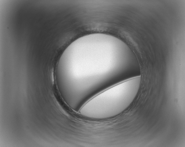 X0000076260020200609281031