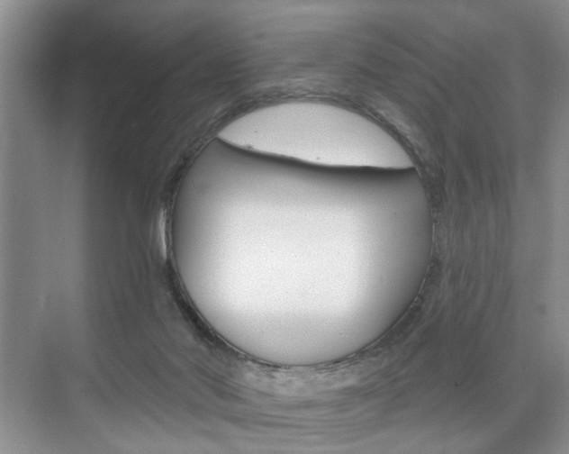 X0000076260022200609281031