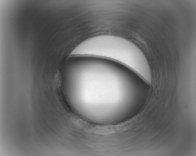 X0000076260029200609281031