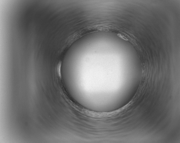 X0000076260047200609281031