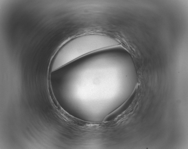 X0000076260052200609281030