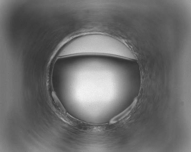 X0000076260056200609281030