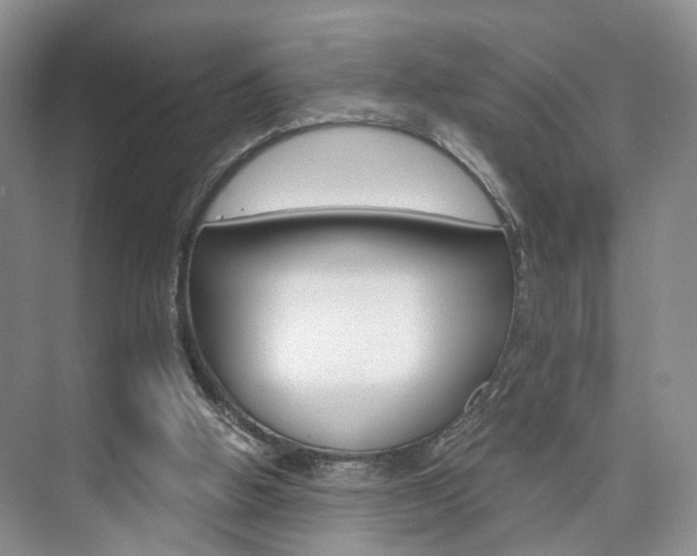 X0000076260058200609281030