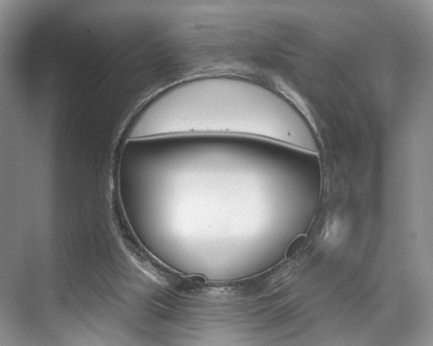 X0000076260059200609281030