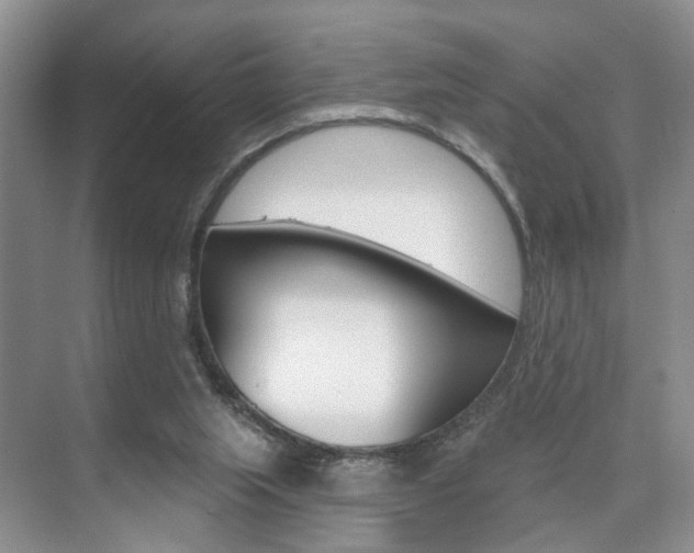 X0000076260063200609281030