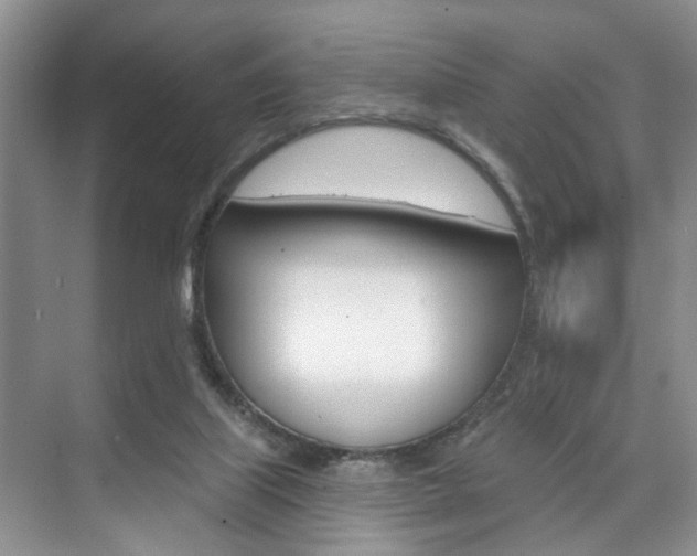 X0000076260067200609281030