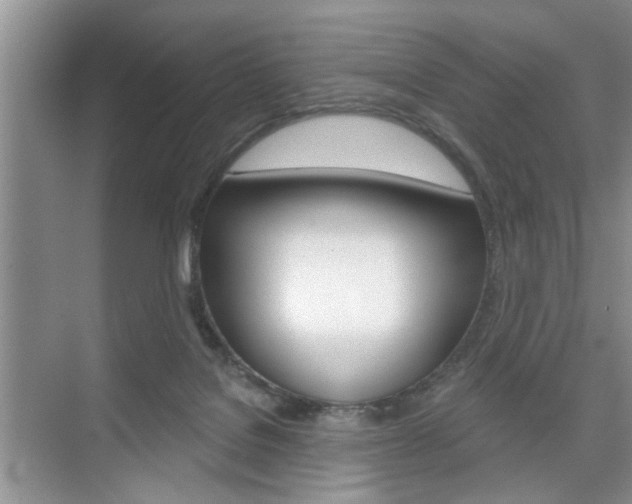 X0000076260076200609281031