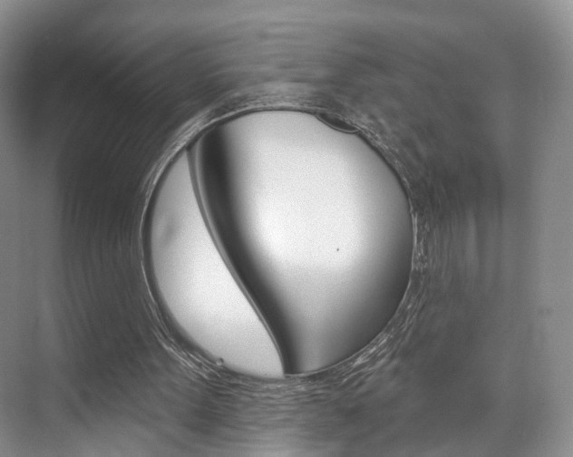 X0000076260099200609281030