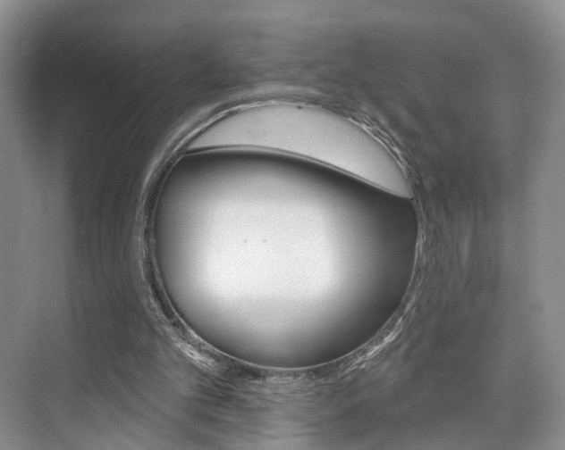 X0000076260101200609281030