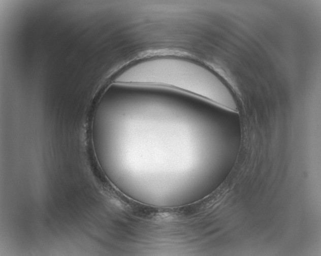 X0000076260111200609281030