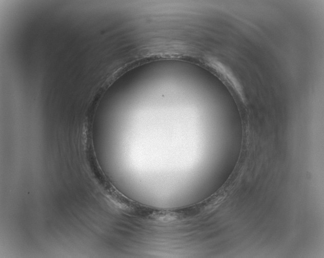 X0000076260113200609281030