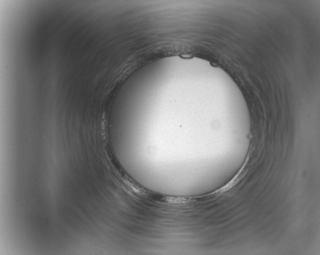 X0000076260144200609281029