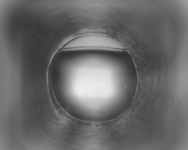 X0000076260148200609281029